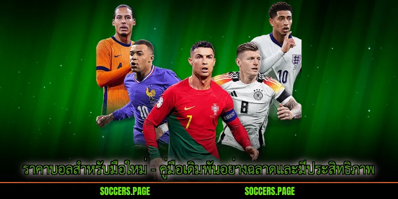 ราคาบอลสำหรับมือใหม่
